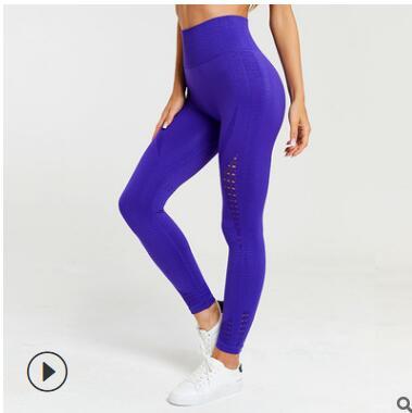 Shark bra sports underwear Purple legging - D&A