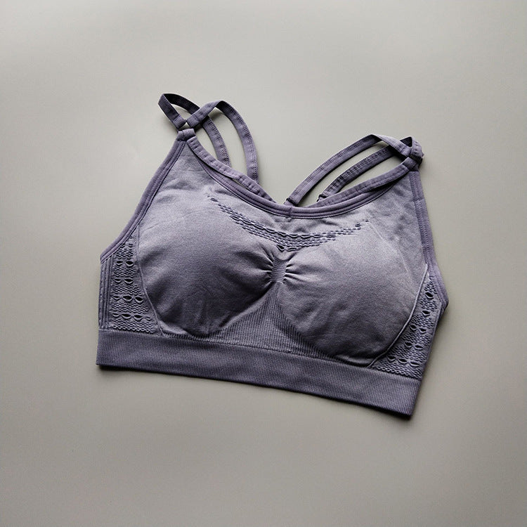 Shark bra sports underwear Grey - D&A