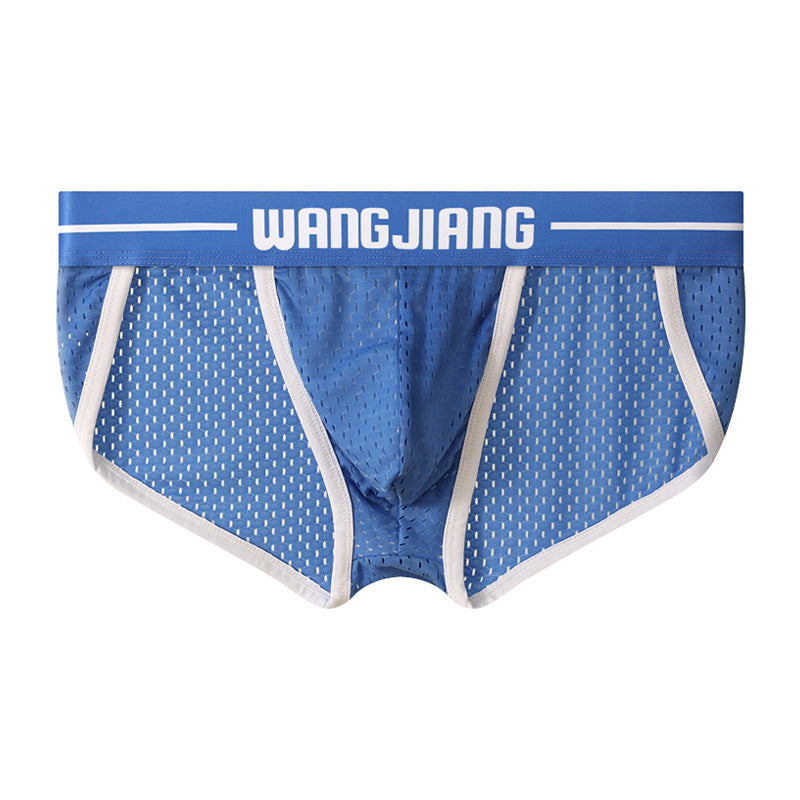 Mesh Breathable Ice Silk Men's Triangle Underwear Blue - D&A