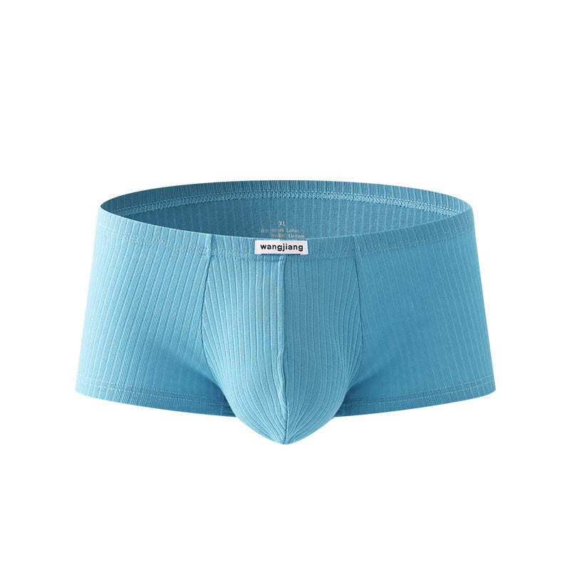 Boxer Briefs Men's Cotton Four Seasons Universal Blue - D&A