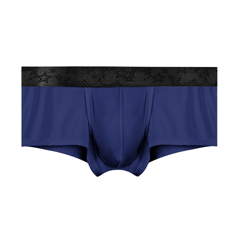 Spermatic Vein Underwear Ice Silk Summer Thin Boys Boyshorts Sapphire Blue - D&A