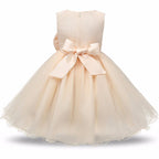 Princess Flower Girl Dress Summer Tutu Wedding Birthday Party Dresses - D&A
