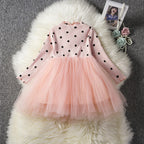 Baby Girls Spring Winter Long Sleeve Tutu Lace Dresses Infantil Newborn 1st Birthday Party Clothes Christening Gown Casual Wear - D&A