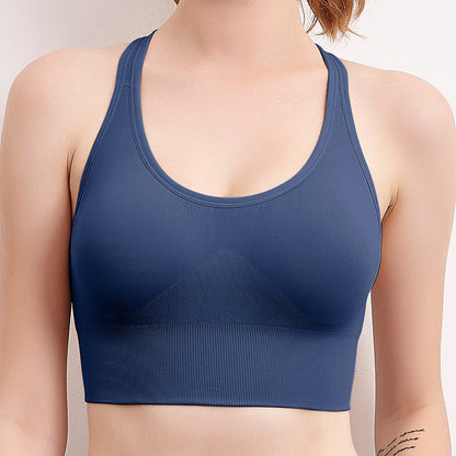Seamless sports bra Blue - D&A