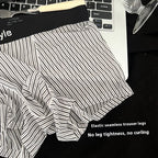 Vintage Stripe Men's Ice Silk Breathable Transparent Bottom Crotch Boxer Briefs - D&A