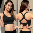 Accent Sports Bra - D&A