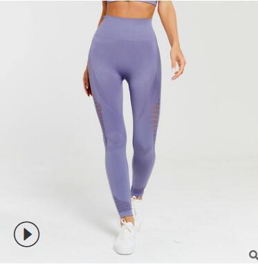 Shark bra sports underwear Light purple legging - D&A