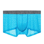 Men's Lace One-piece Seamless Thin Breathable Sweat-absorbent Sexy Transparent Boxer Briefs - D&A