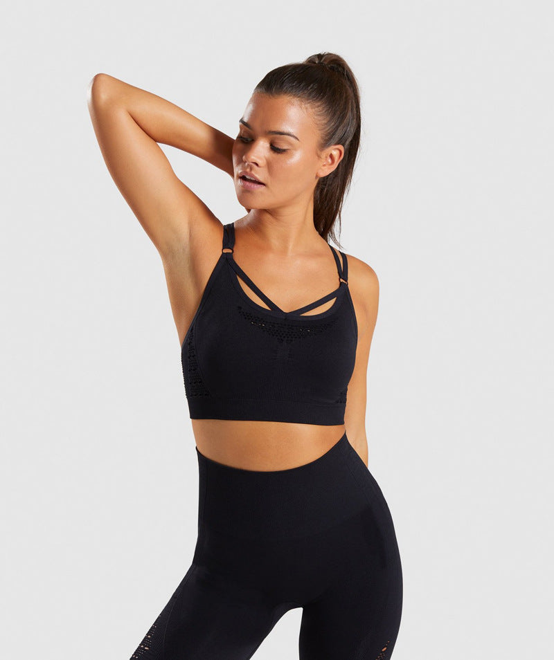 Shark bra sports underwear - D&A