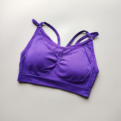 Shark bra sports underwear - D&A