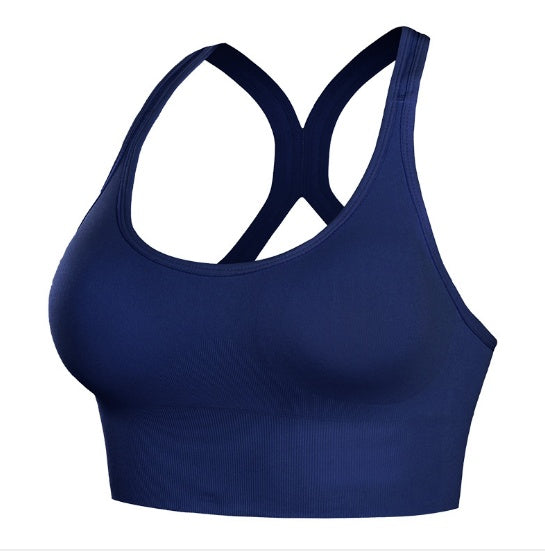 Accent Sports Bra Blue - D&A