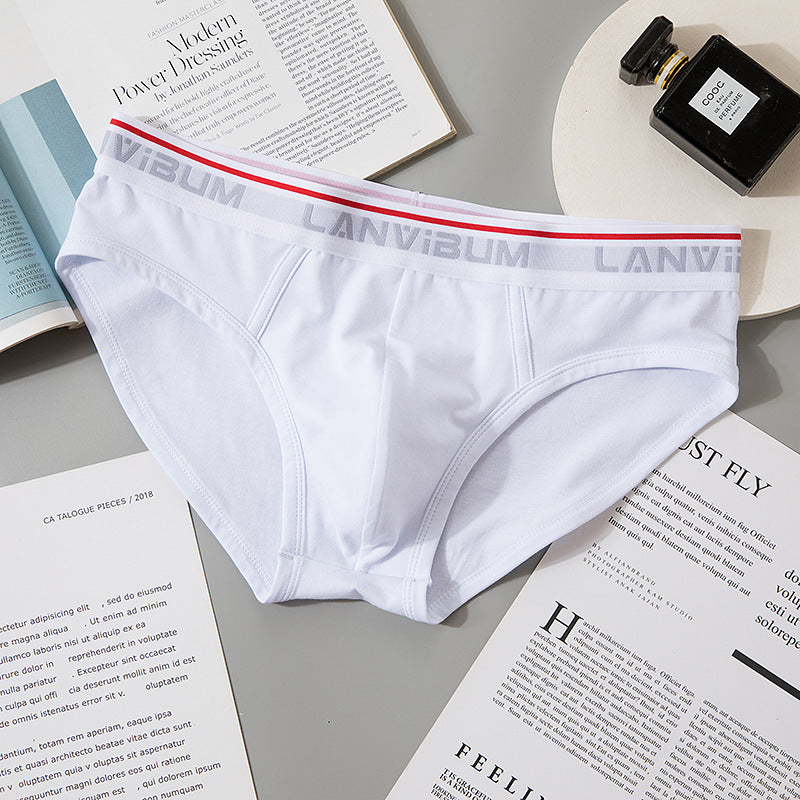 Briefs Men's Modal Mid-waist 5LA642 White - D&A