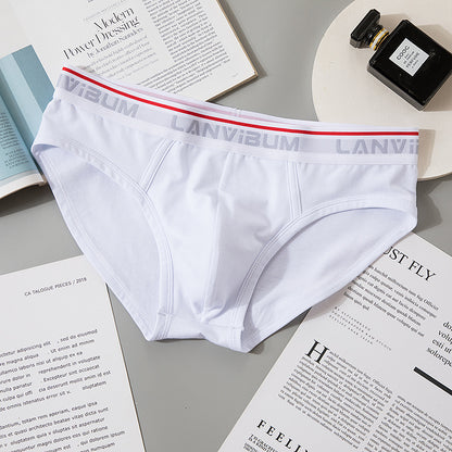 Briefs Men's Modal Mid-waist 5LA642 White - D&A