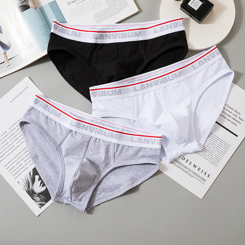 Briefs Men's Modal Mid-waist - D&A