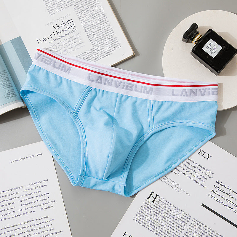 Briefs Men's Modal Mid-waist 5LA642 Blue - D&A