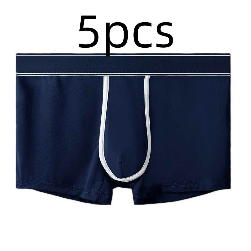 Men's Ice Silk Antibacterial Ultra Thin Sexy Transparent Boys Sports Underwear Sapphire Blue 5pcs - D&A