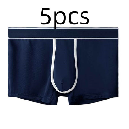Men's Ice Silk Antibacterial Ultra Thin Sexy Transparent Boys Sports Underwear Sapphire Blue 5pcs - D&A