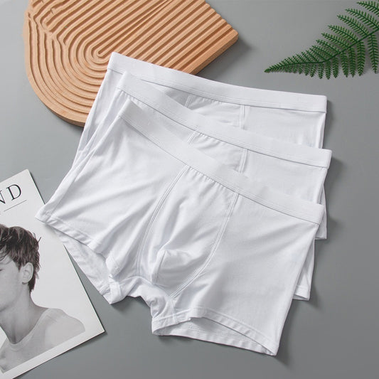 Light-colored Youth White Underwear Men's Boxer - D&A