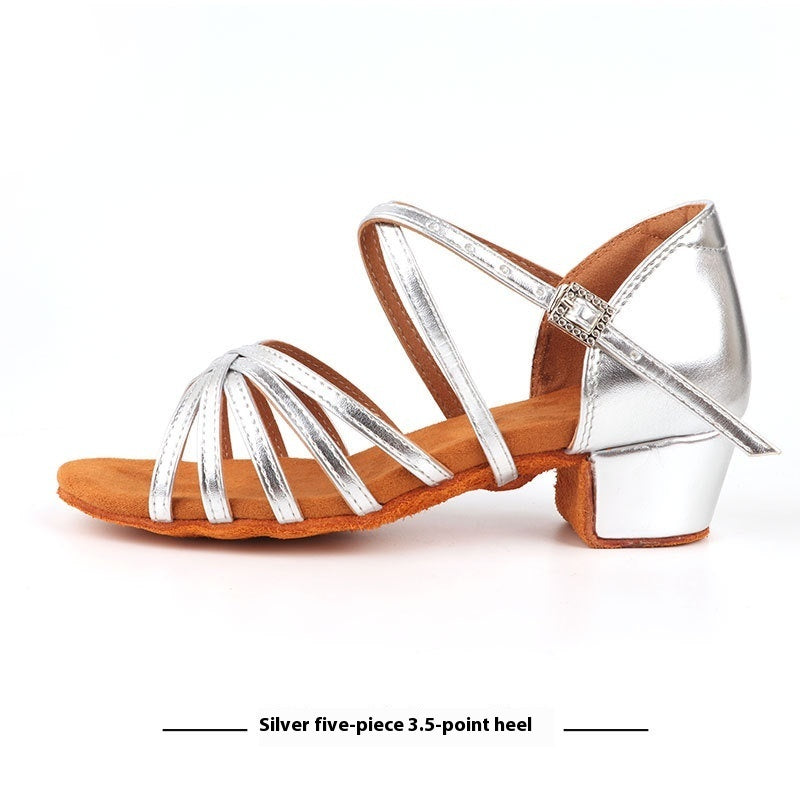 Latin Dance Shoes Grading Is Exactly Dancing Shoes Silver - D&A
