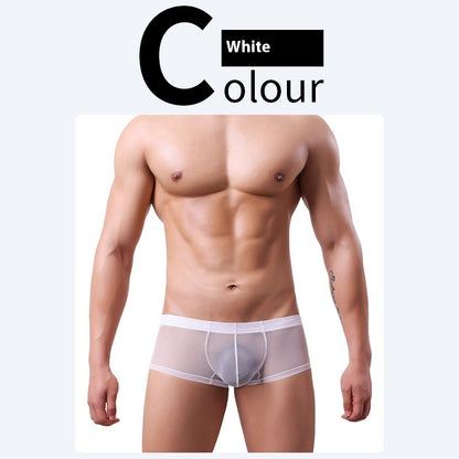 Men's 20D Ice Silk Net Yarn Underwear Thin White - D&A
