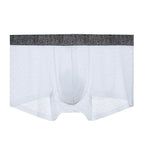 Men's Lace One-piece Seamless Thin Breathable Sweat-absorbent Sexy Transparent Boxer Briefs - D&A