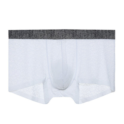 Men's Lace One-piece Seamless Thin Breathable Sweat-absorbent Sexy Transparent Boxer Briefs - D&A