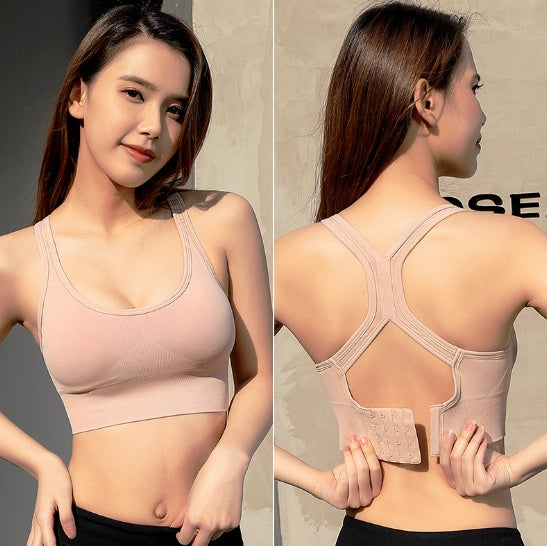 Accent Sports Bra - D&A