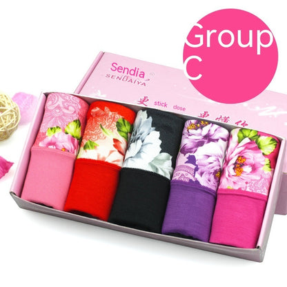 Modal Underwear For Women Mid-waist Cotton 5 Pieces C Group - D&A
