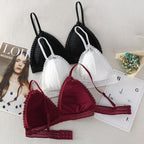 Bra triangle cup bra - D&A