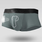 Spermatic Vein Underwear Ice Silk Summer Thin Boys Boyshorts - D&A