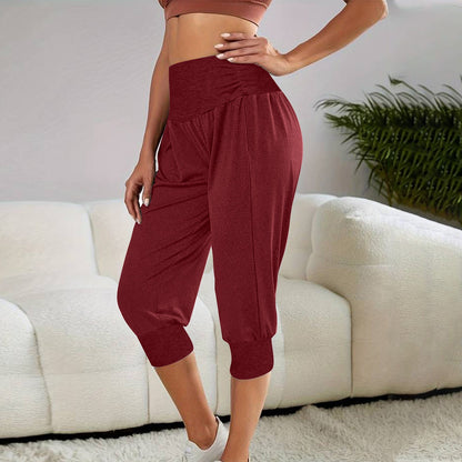 Women's Home Casual Pants High Waist Temperament Ankle-tied Harem Pants - D&A