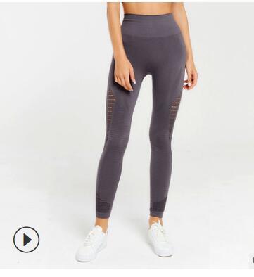 Shark bra sports underwear Coffee legging - D&A