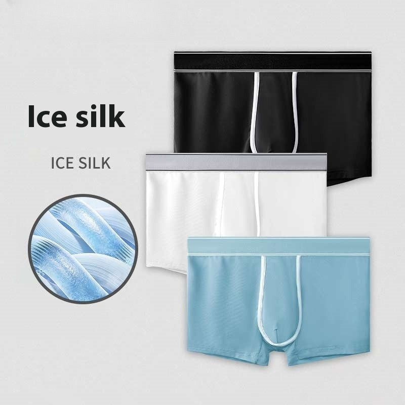 Men's Ice Silk Antibacterial Ultra Thin Sexy Transparent Boys Sports Underwear - D&A