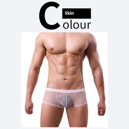 Men's 20D Ice Silk Net Yarn Underwear Thin Skin Color - D&A