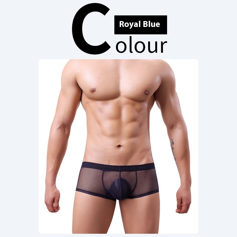 Men's 20D Ice Silk Net Yarn Underwear Thin Sapphire Blue - D&A