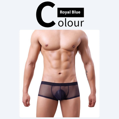 Men's 20D Ice Silk Net Yarn Underwear Thin Sapphire Blue - D&A