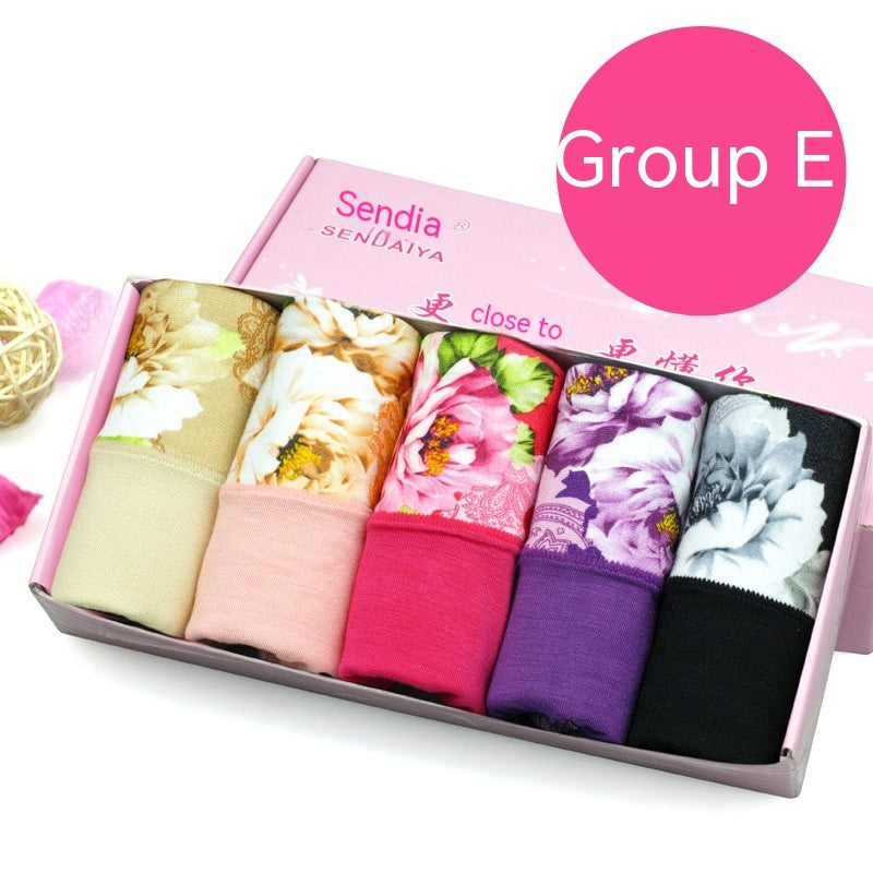 Modal Underwear For Women Mid-waist Cotton 5 Pieces E Group - D&A