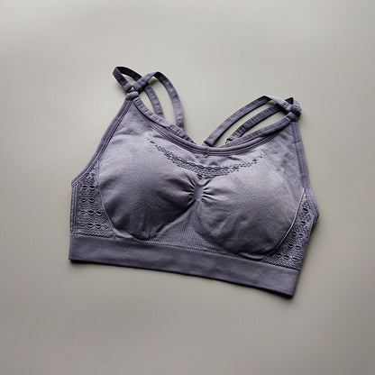 Shark bra sports underwear Grey - D&A
