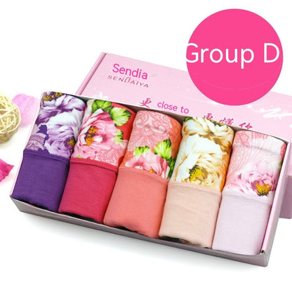 Modal Underwear For Women Mid-waist Cotton 5 Pieces D Group - D&A