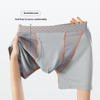 Men's Boxers Transparent Mesh Shorts - D&A