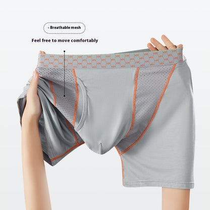 Men's Boxers Transparent Mesh Shorts - D&A
