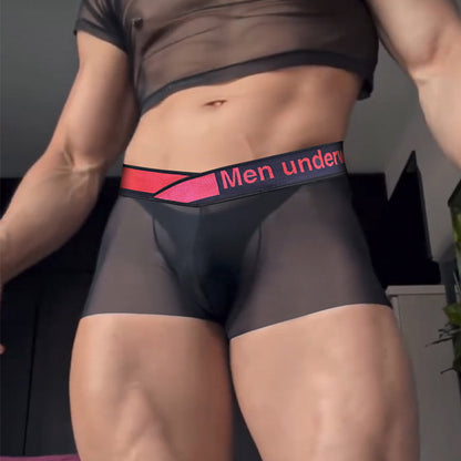 Sexy Gradient Laser Low Waist Modal Comfortable Breathable Men's Underwear - D&A