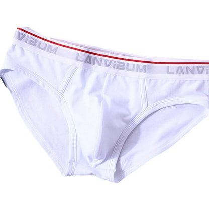 Briefs Men's Modal Mid-waist - D&A