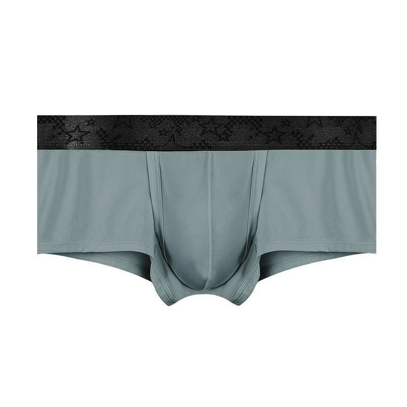 Spermatic Vein Underwear Ice Silk Summer Thin Boys Boyshorts Gray - D&A