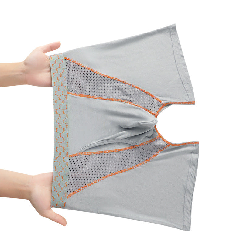 Men's Boxers Transparent Mesh Shorts - D&A