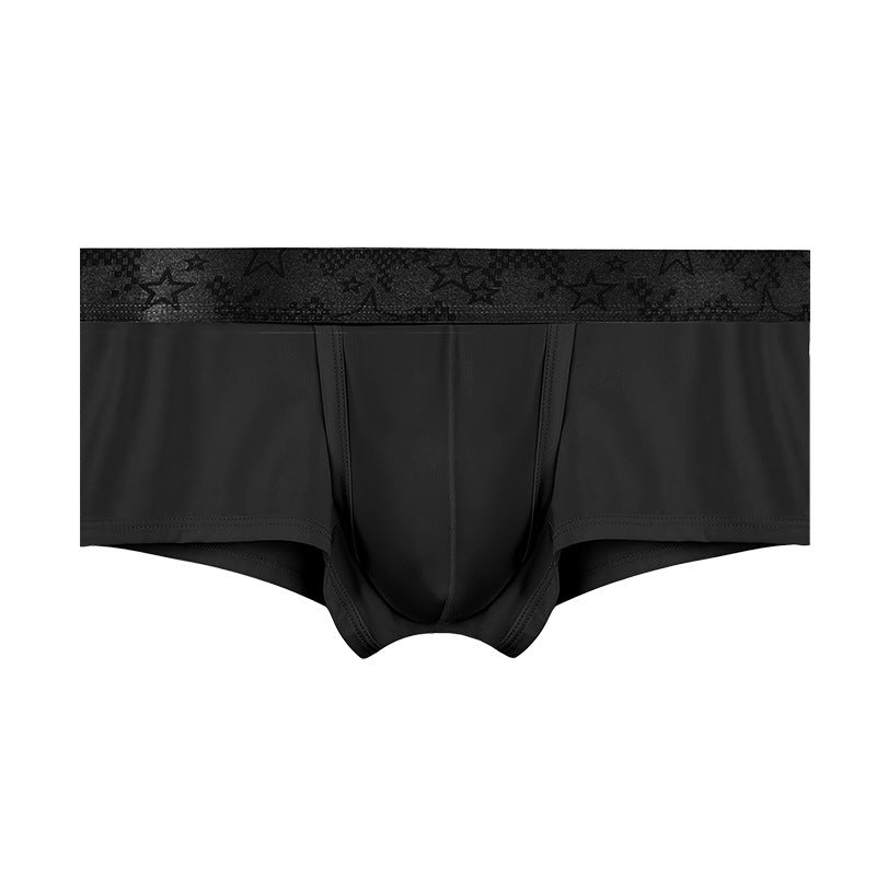 Spermatic Vein Underwear Ice Silk Summer Thin Boys Boyshorts Black - D&A