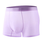 Ultra-thin Cool Ice Silk Breathable Traceless Transparent Hair Exposed Sexy Boxer - D&A