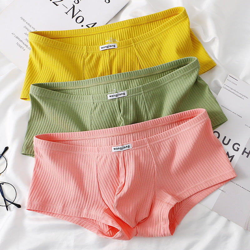 Boxer Briefs Men's Cotton Four Seasons Universal - D&A