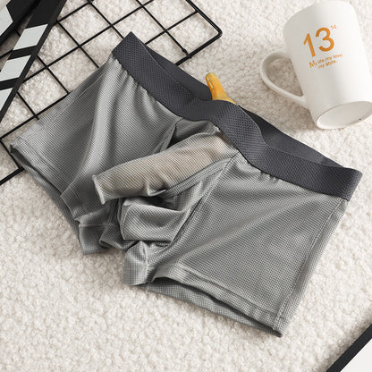 Men's Ice Silk Boxer Mesh Breathable Underwear - D&A