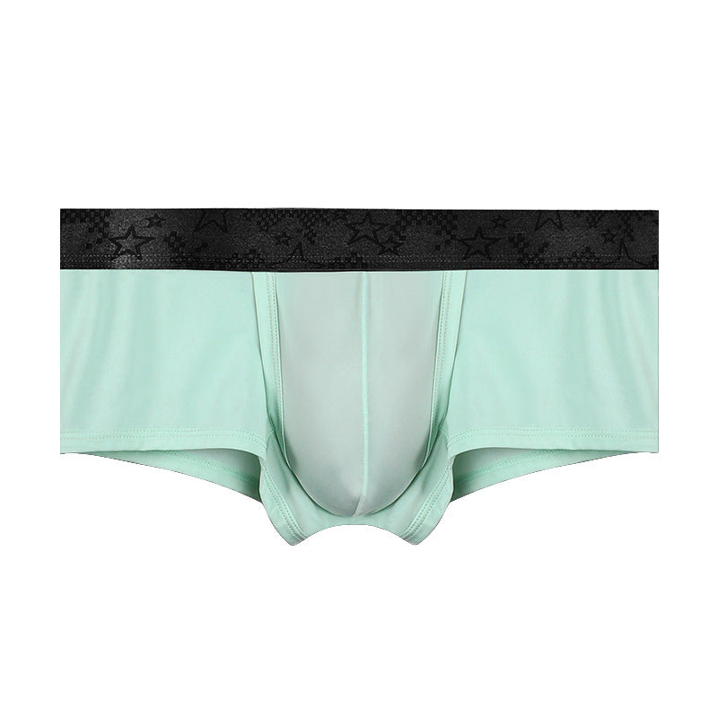 Spermatic Vein Underwear Ice Silk Summer Thin Boys Boyshorts Light Blue - D&A